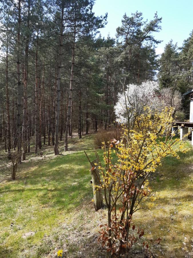 Lesna Polana Villa Gorzno  Exterior photo