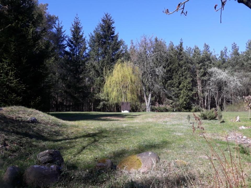 Lesna Polana Villa Gorzno  Exterior photo