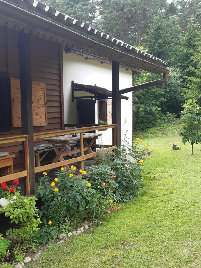 Lesna Polana Villa Gorzno  Exterior photo